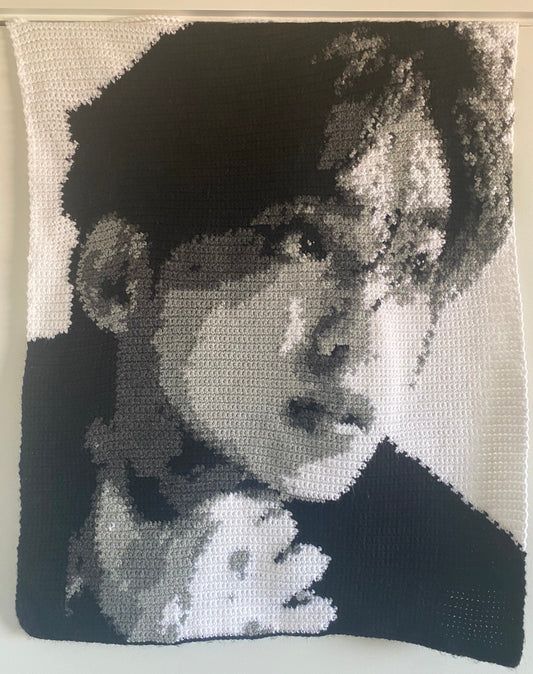 Seventeen Scoups *grid pattern only*